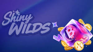 Testimonio de Shiny Wilds Casino 2026